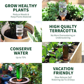 Soilagua 4-pack self-watering spikes ready for multiple plants.