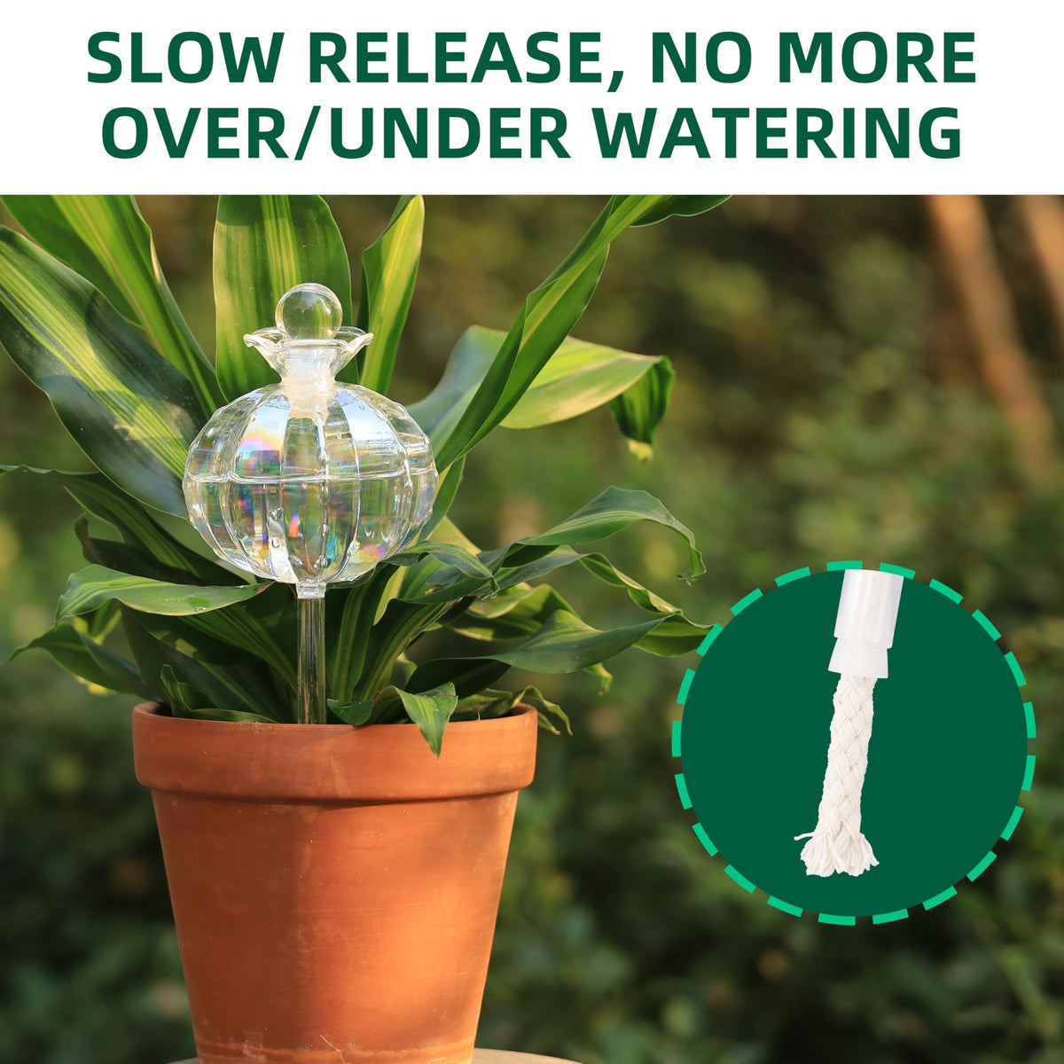 Soilagua automatic water delivery supports indoor and outdoor plants