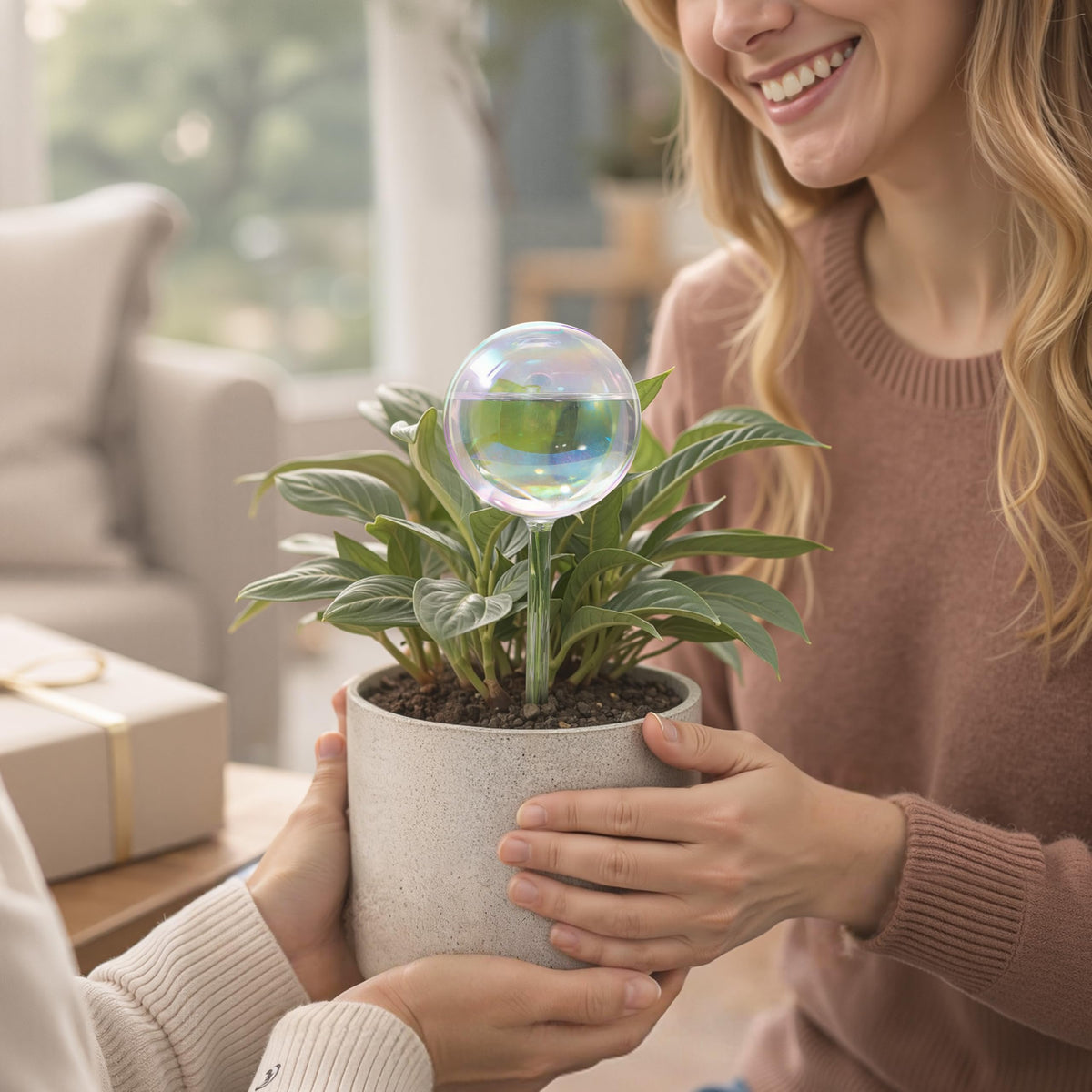 Soilagua ideal for busy plant owners seeking low maintenance care