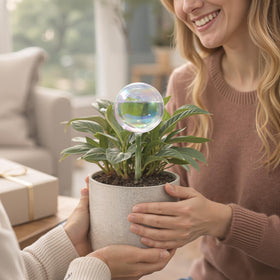 Soilagua ideal for busy plant owners seeking low maintenance care