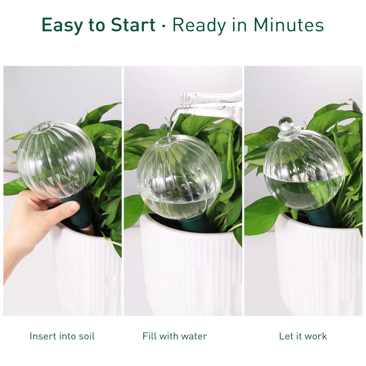 Soilagua clear glass design that blends with any planter setup
