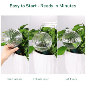 Soilagua clear glass design that blends with any planter setup