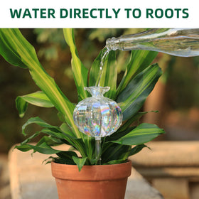 Soilagua easy refill top cap for hassle-free maintenance