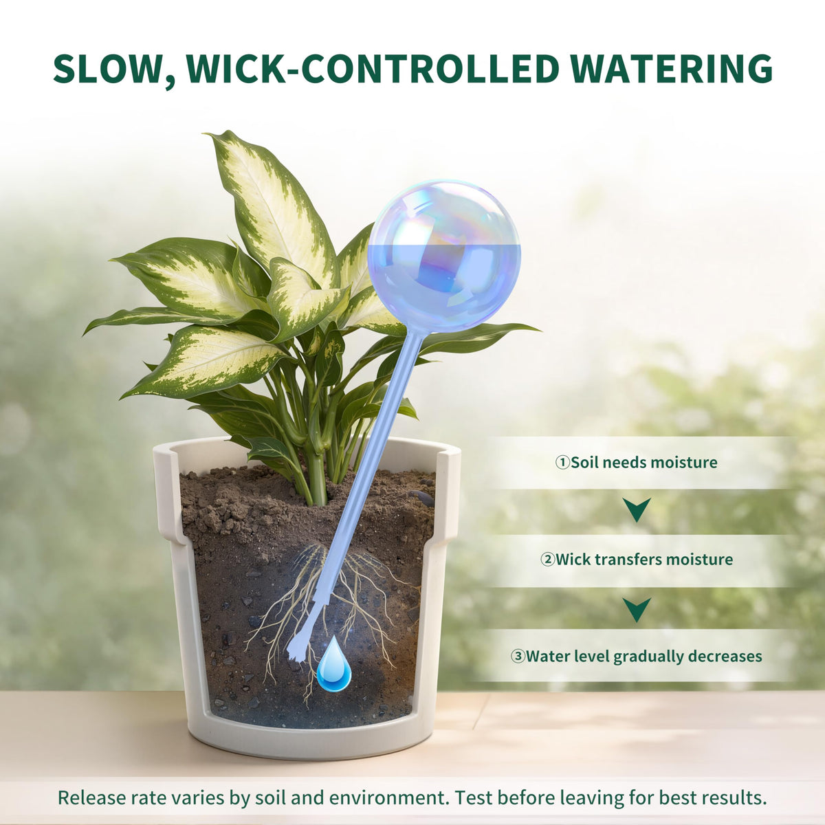 Soilagua easy-setup self-watering globe requires no tuning