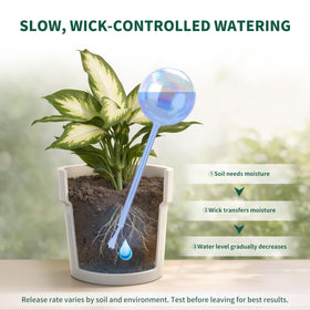 Soilagua easy-setup self-watering globe requires no tuning