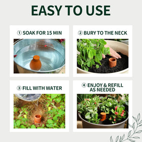 Soilagua globe placed near roots for efficient hydration