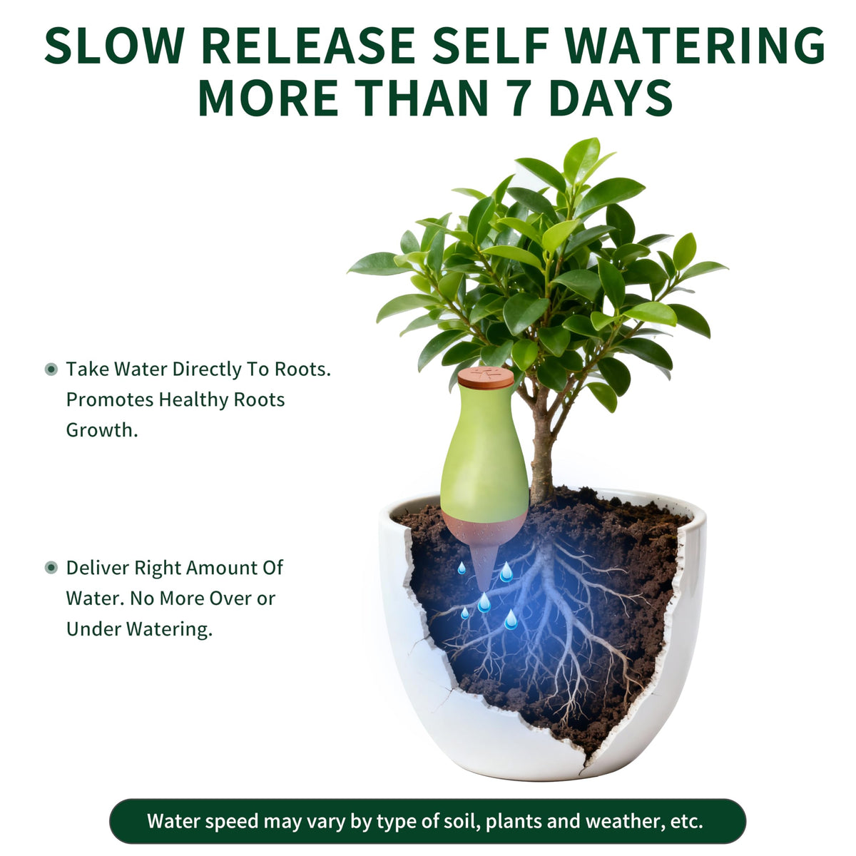 Soilagua olla pot watering device keeps soil moisture near roots.