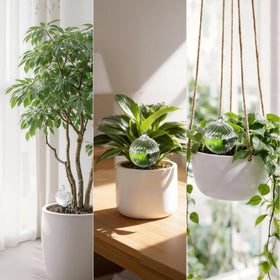 Soilagua packaging is gift-ready for plant lovers