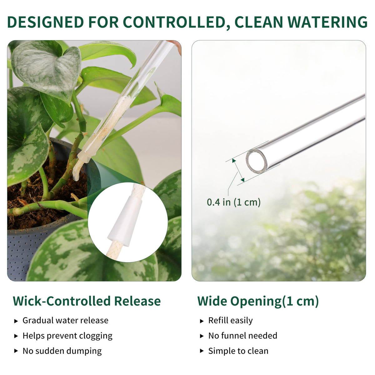 Soilagua self watering globe sits in soil for steady irrigation