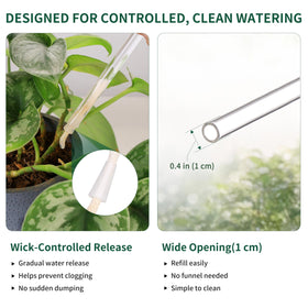 Soilagua self watering globe sits in soil for steady irrigation