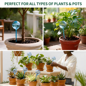 Soilagua self-watering planter insert easy plant care