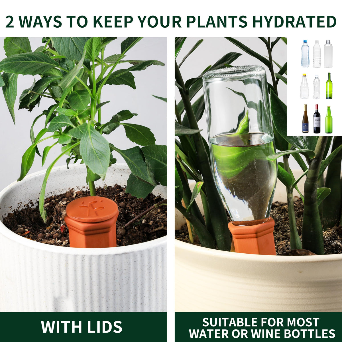Soilagua spike delivers water directly to plant roots