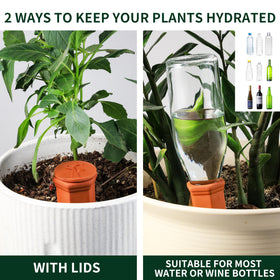 Soilagua spike delivers water directly to plant roots