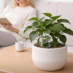 Soilagua top-fill cap designed for easy refilling