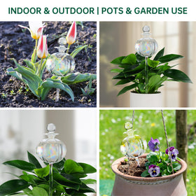 Soilagua vacation-friendly watering helps plants survive gaps in care
