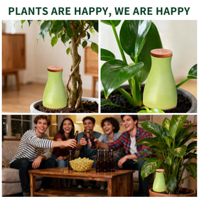 Soilagua vacation-friendly watering system helps plants thrive during trips.