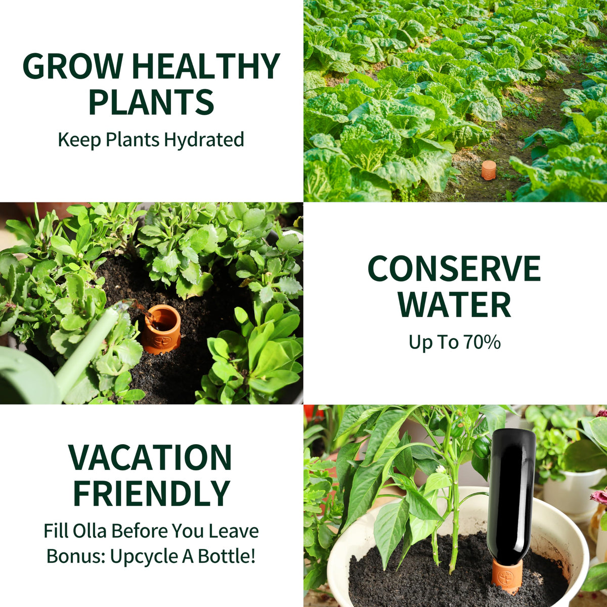 Soilagua watering globes shown for vacation use setup