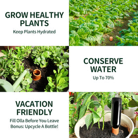 Soilagua watering globes shown for vacation use setup