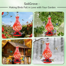 SOILGROVE attracts cardinals and blue jays to your yard