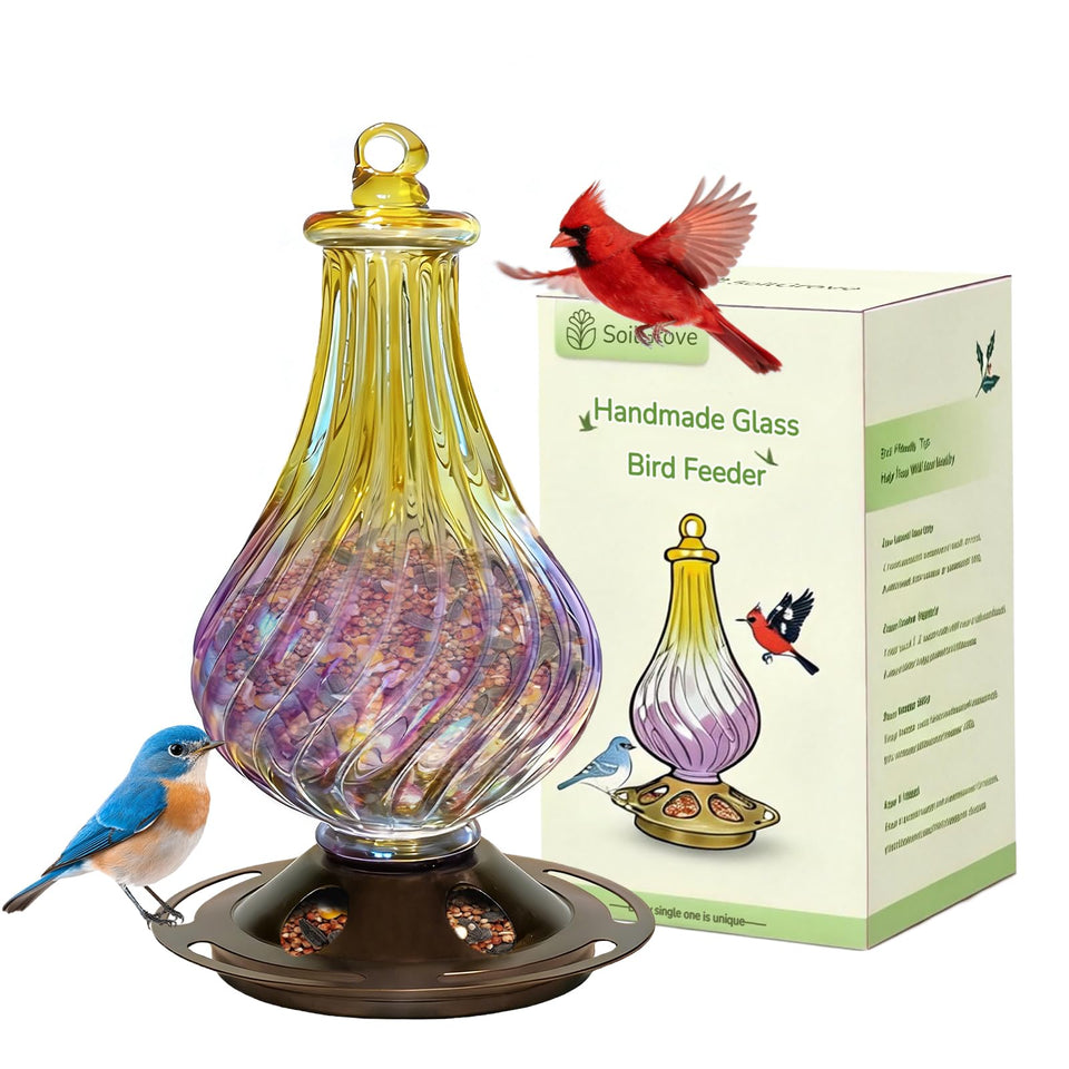 SOILGROVE glass bird feeder for outdoors hanging adds color to your garden decor