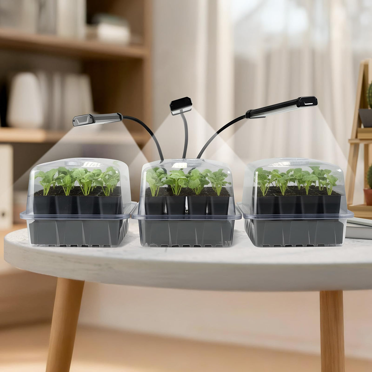 SOLIGT 6-pack seed starter kit ideal for beginners and seasoned gardeners
