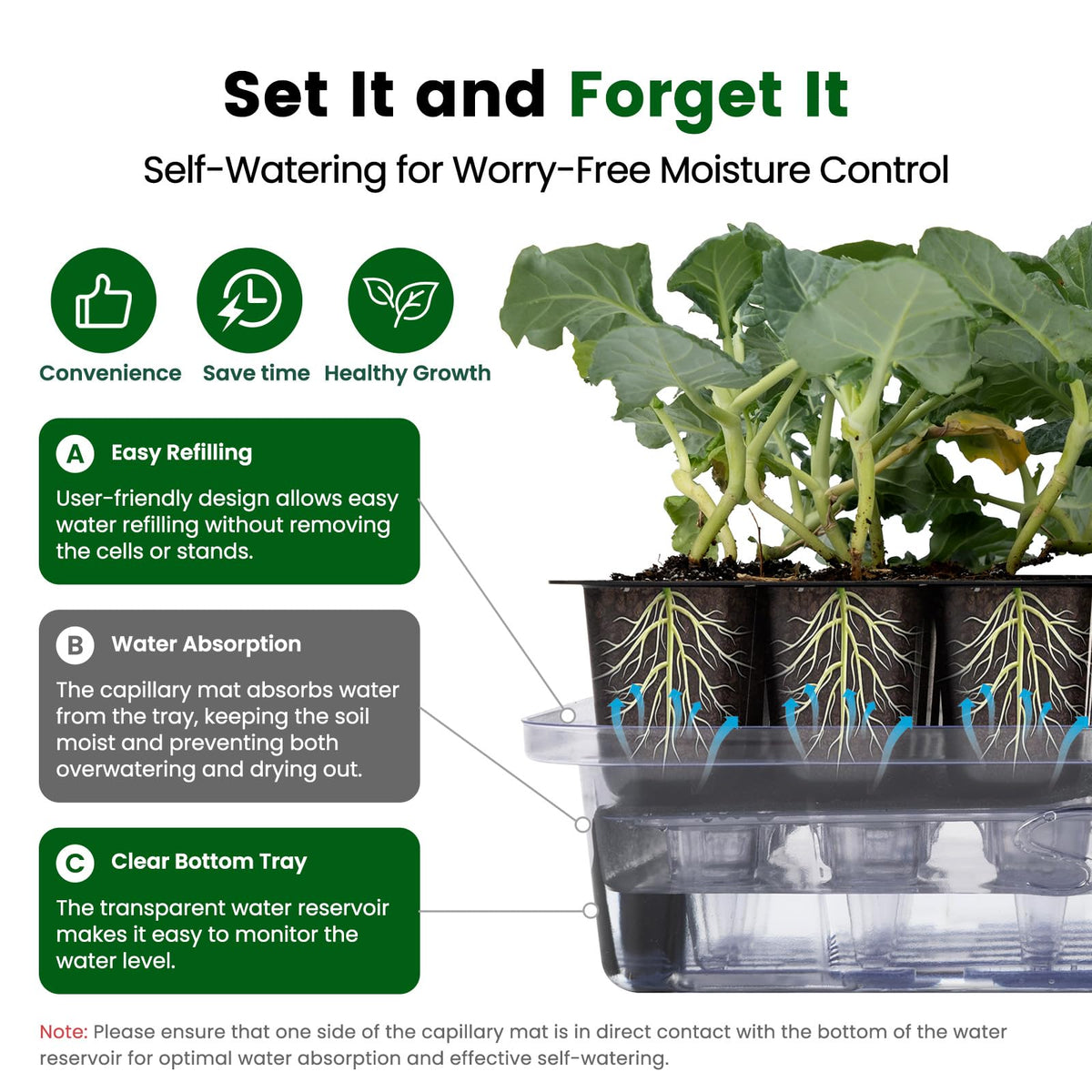 SOLIGT durable support stands and transplant tools for easy handling