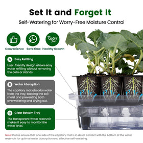 SOLIGT durable support stands and transplant tools for easy handling