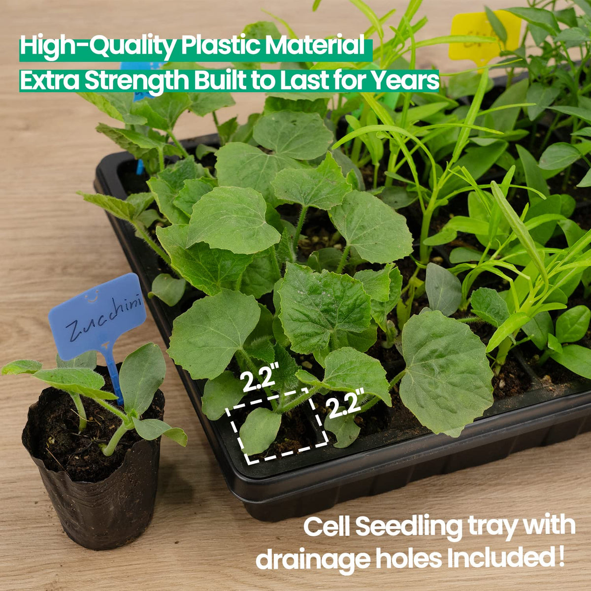 SOLIGT no-hole seed starter trays save time and prevent leaks during watering.