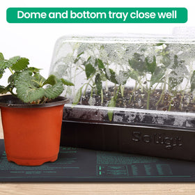 SOLIGT seedling station with heat mats supports healthy root development.