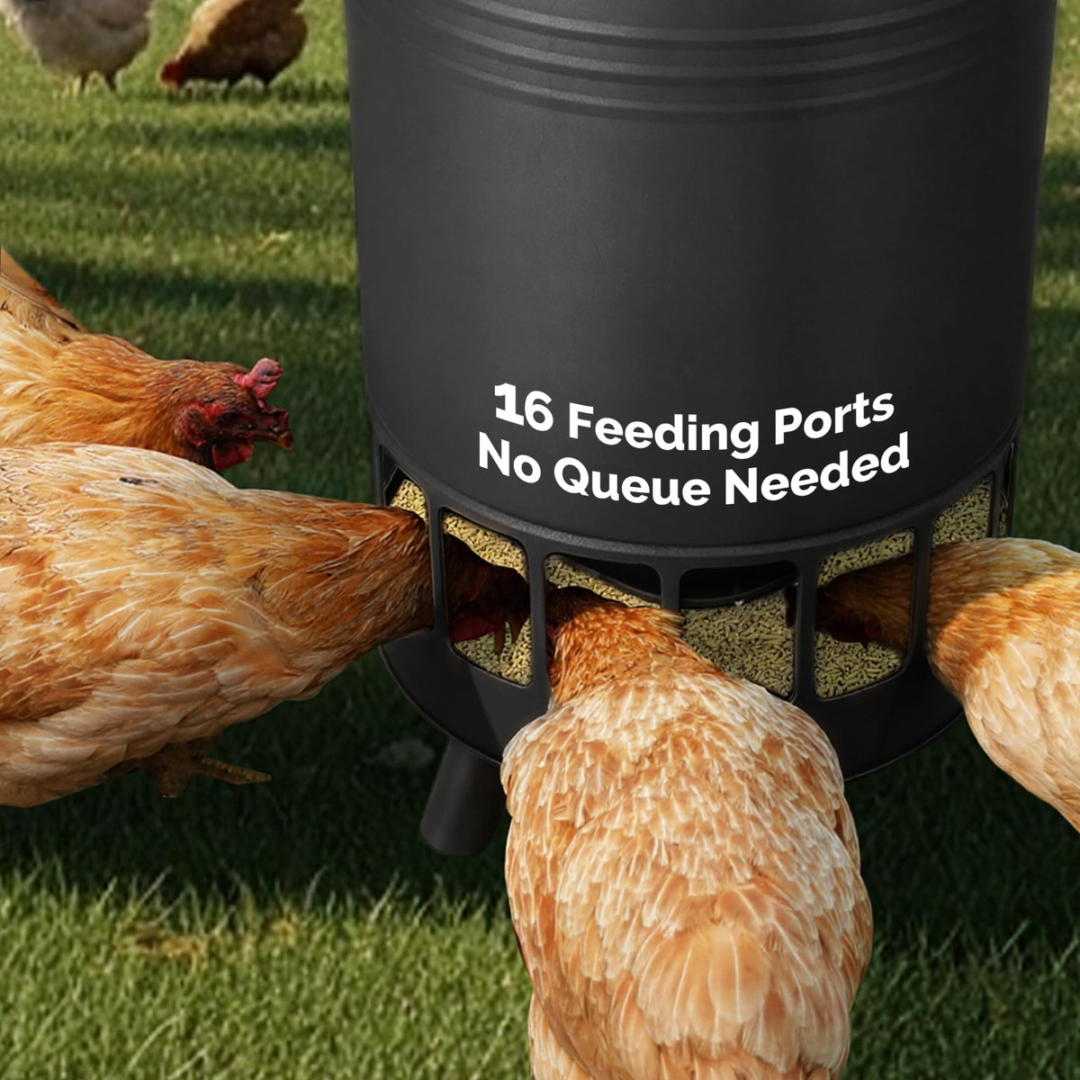 Solution4Patio 16-port feeding design promotes even access for the flock.