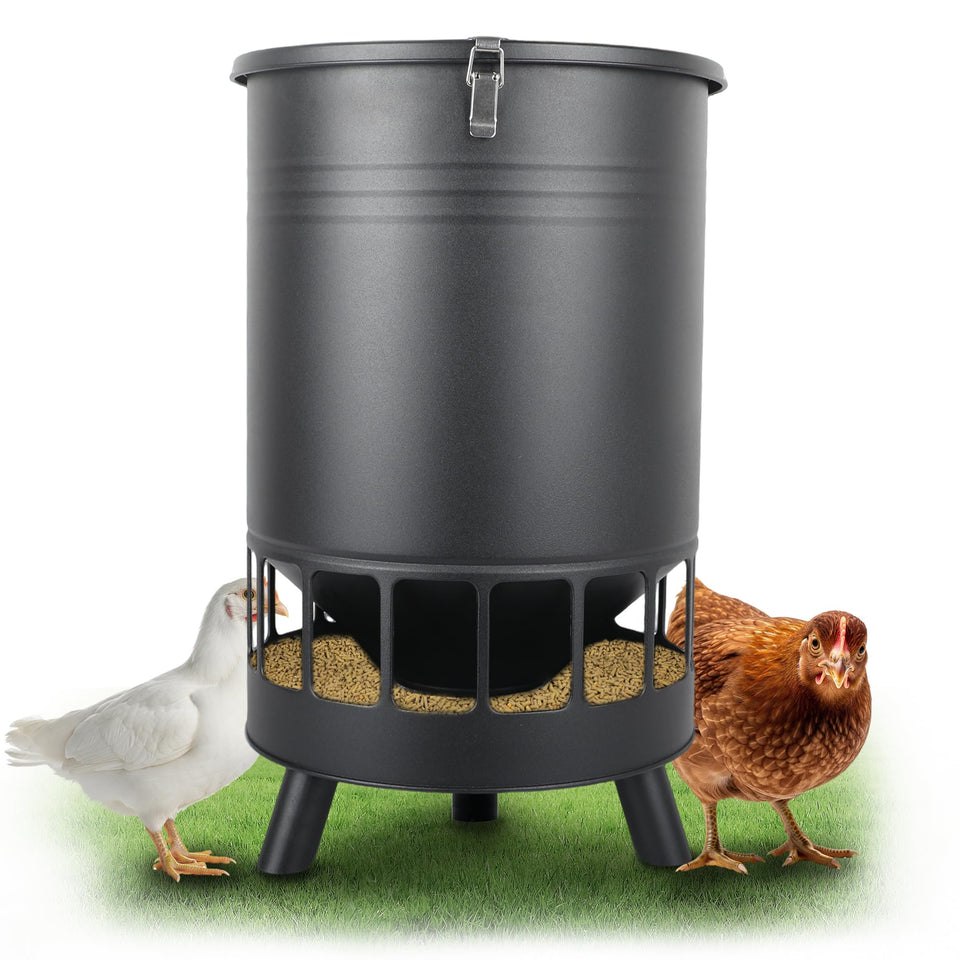 Solution4Patio 50LB No-Waste Feeder cover protects feed from rain in outdoor coops.