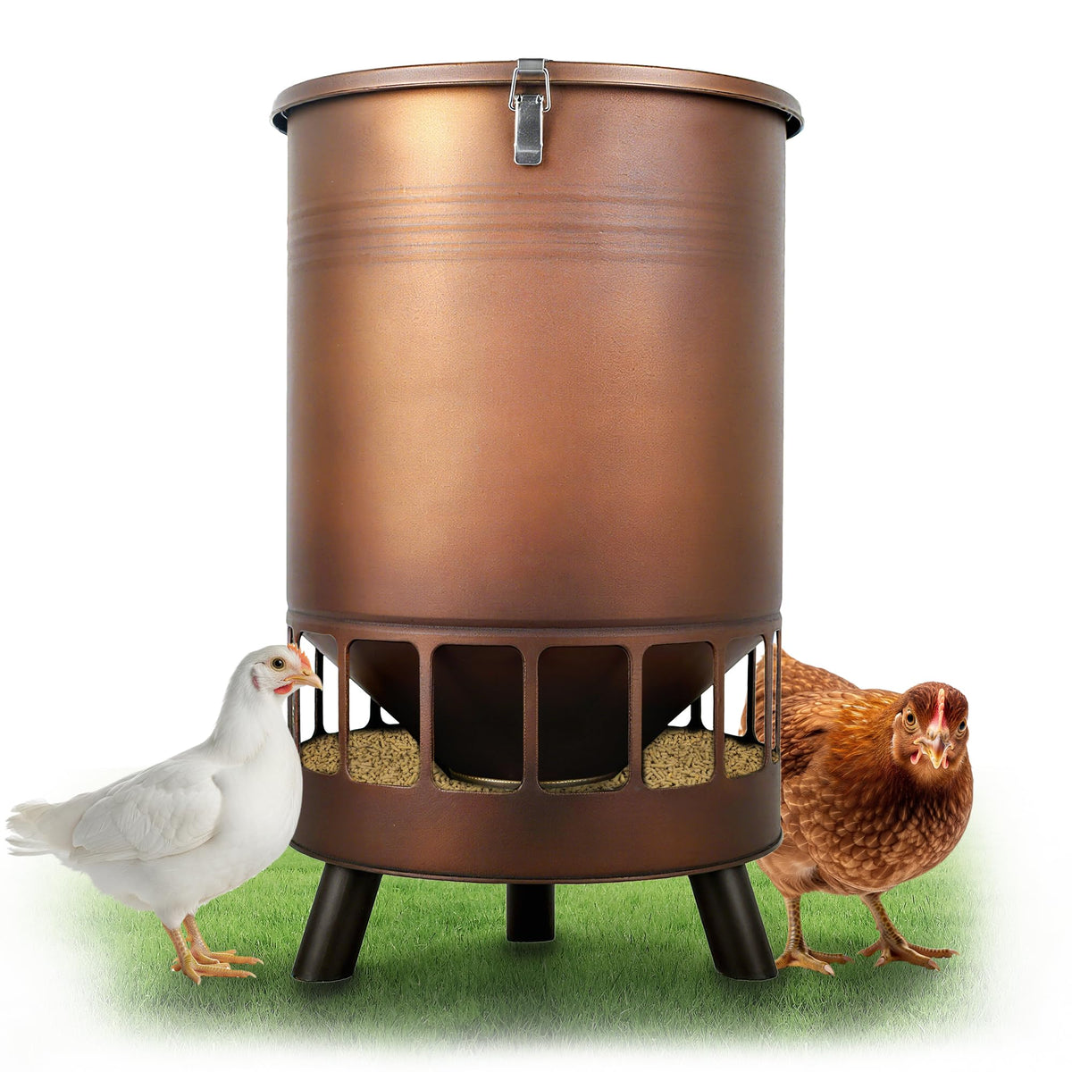 Solution4Patio 50LB feeder front view shows large capacity for busy flocks.