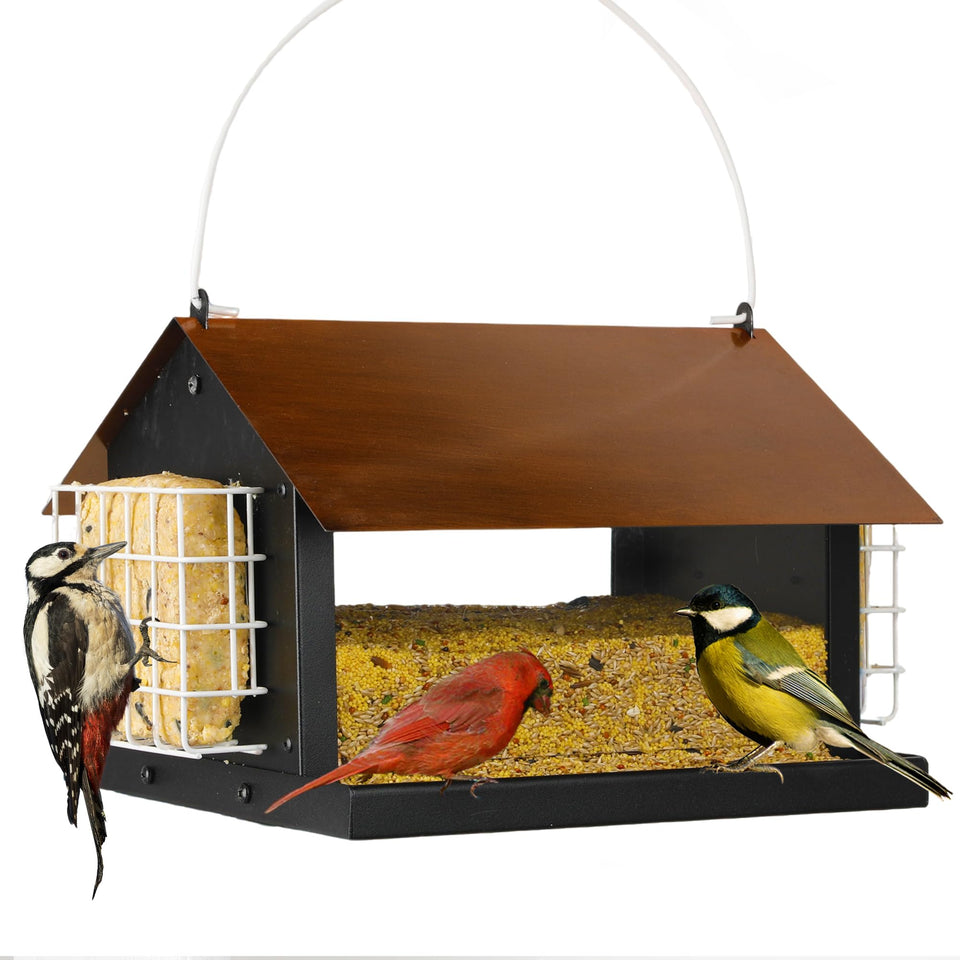 Solution4Patio all-metal hanging bird feeder shows durable outdoor construction.
