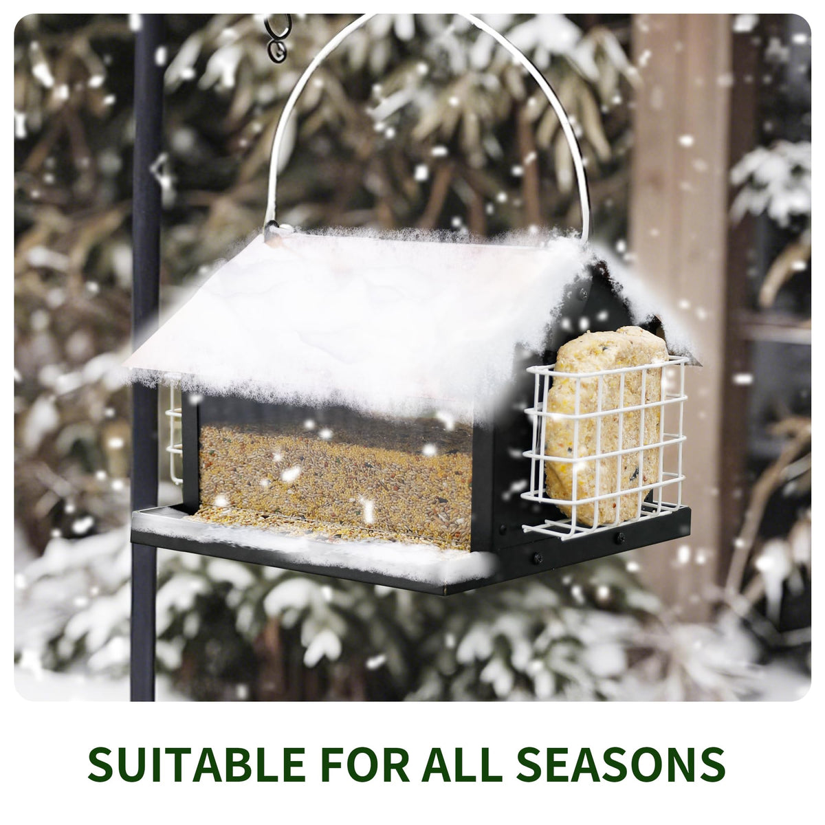 Solution4Patio angled seed flow base promotes consistent seed distribution.