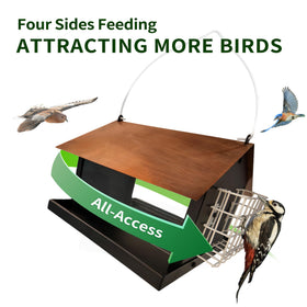 Solution4Patio double suet cakes support longer feeding periods for birds.