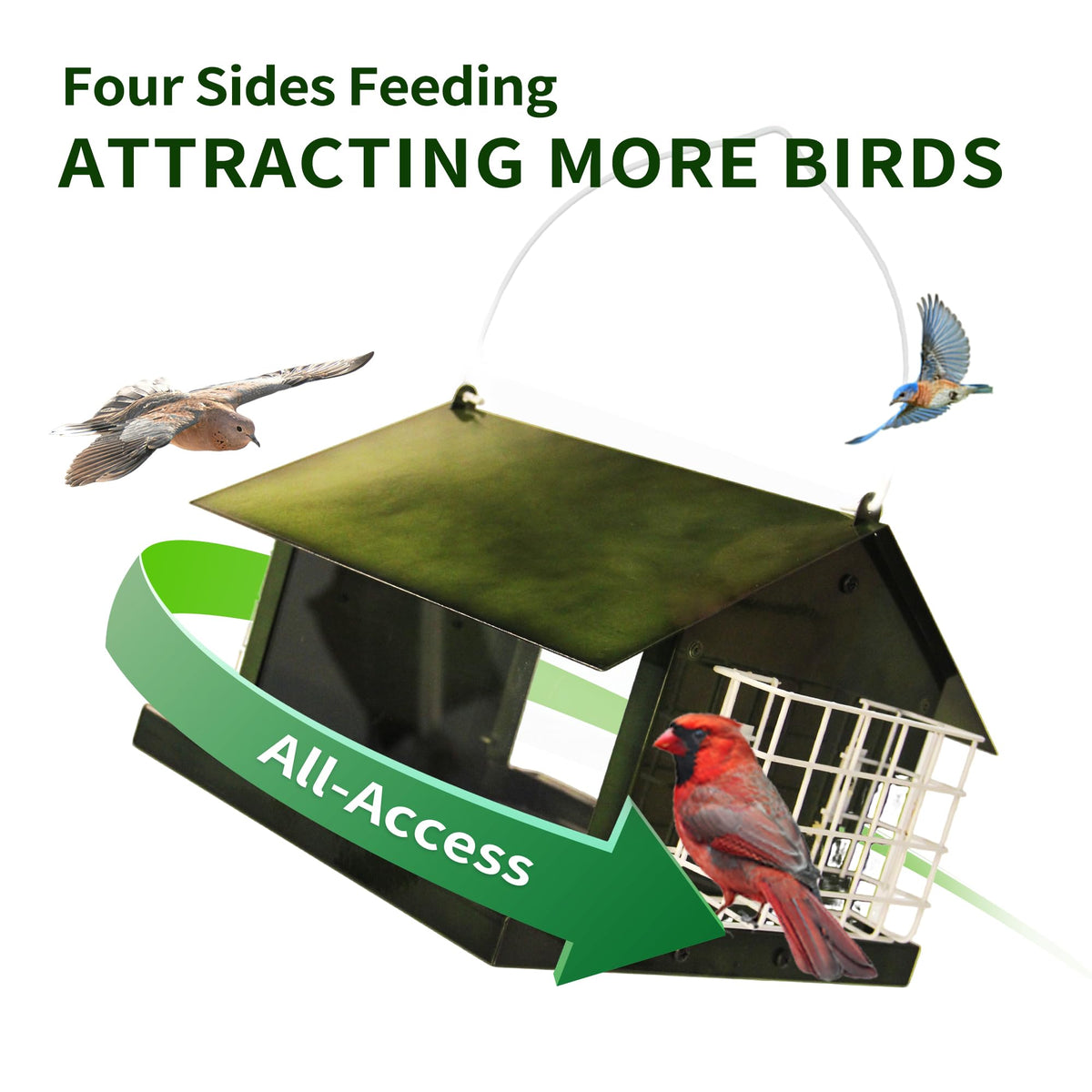 Solution4Patio green feeder with large-capacity hopper tray for fewer refills