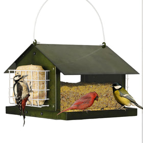 Solution4Patio outdoor hanging bird feeder in green designed for year-round attraction