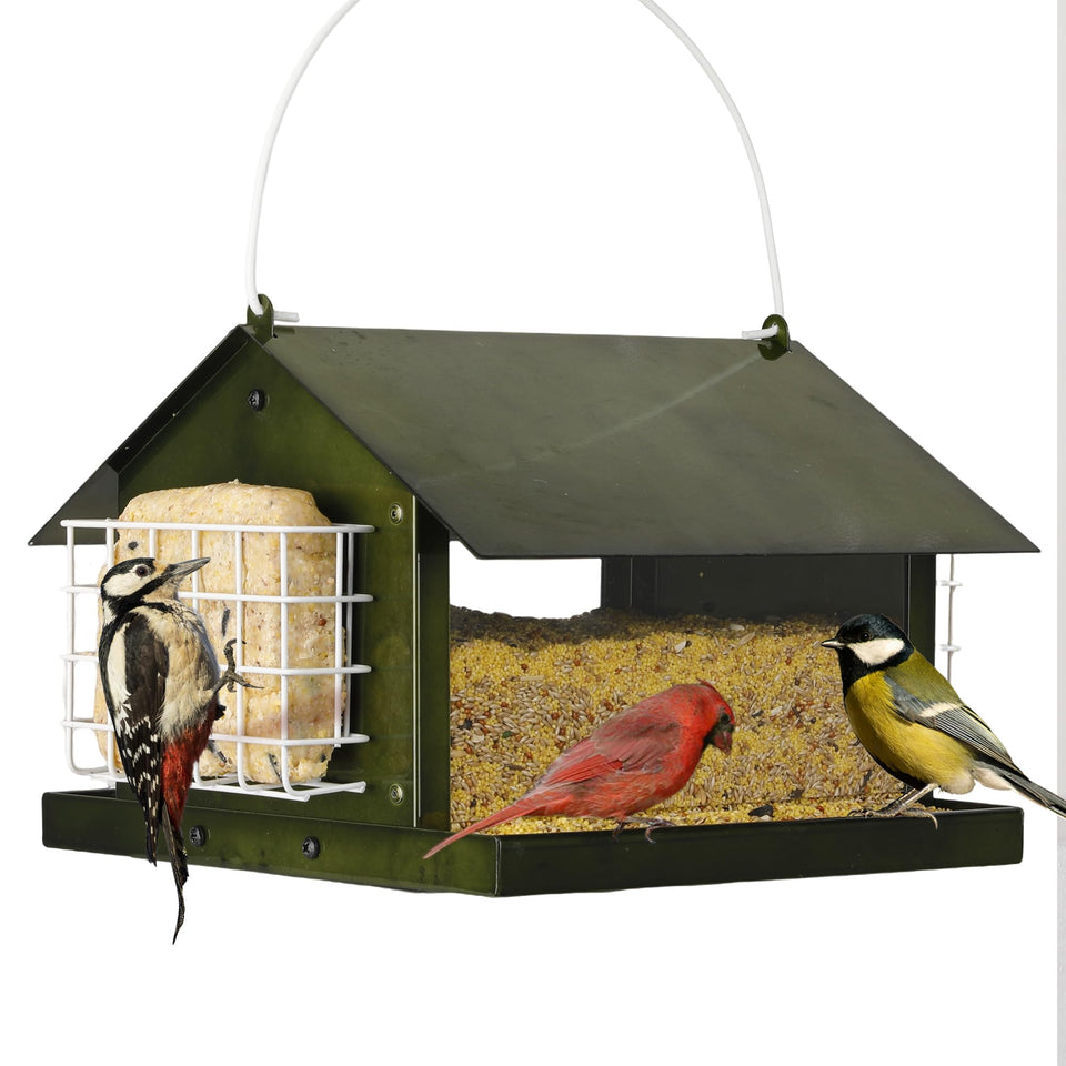 Solution4Patio outdoor hanging bird feeder in green designed for year-round attraction