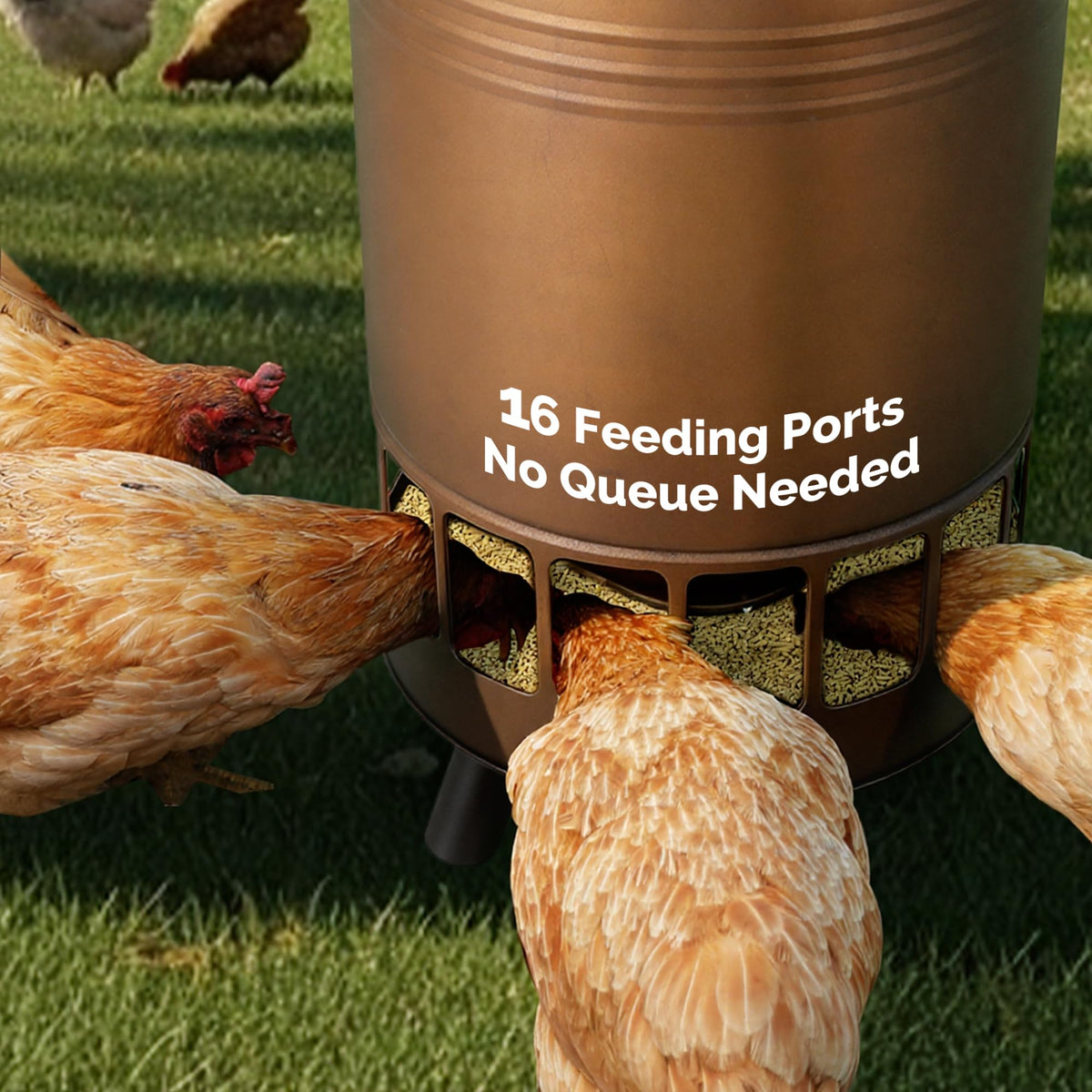 Solution4Patio oversized drip-edge lid keeps feed dry.