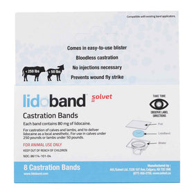 SOLVET Lidoband on a calf during banding, showcasing local anesthetic delivery.