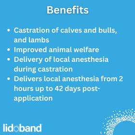 SOLVET Lidoband used with elastrator tool in a bloodless castration setup.