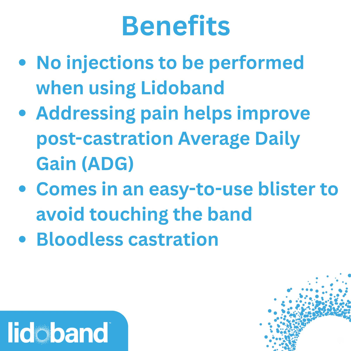 SOLVET Lidoband band applied to lamb for localized anesthetic delivery during banding.