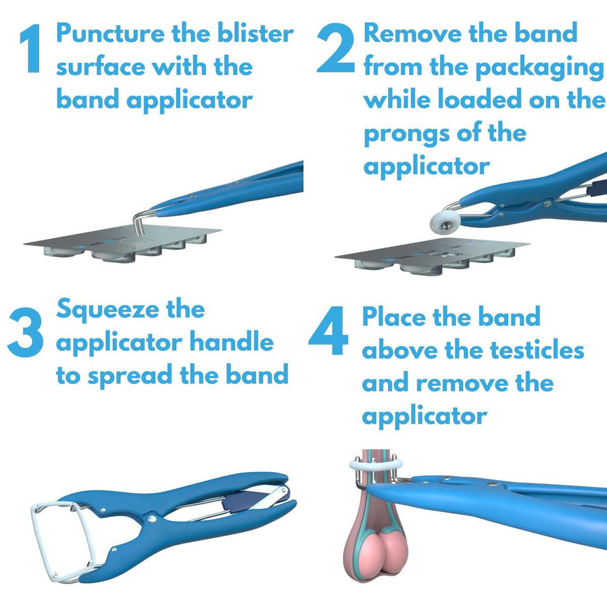 SOLVET Lidoband applied to a calf for localized anesthetic delivery.
