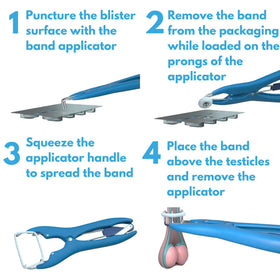 SOLVET Lidoband applied to a calf for localized anesthetic delivery.