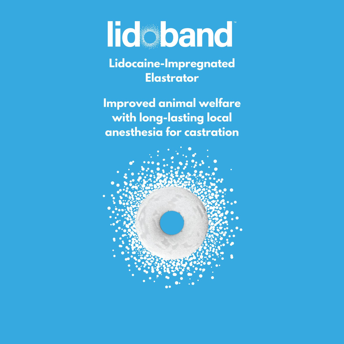 SOLVET Lidoband blister pack shown beside elastrator tool.