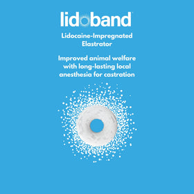 SOLVET Lidoband blister pack shown beside elastrator tool.