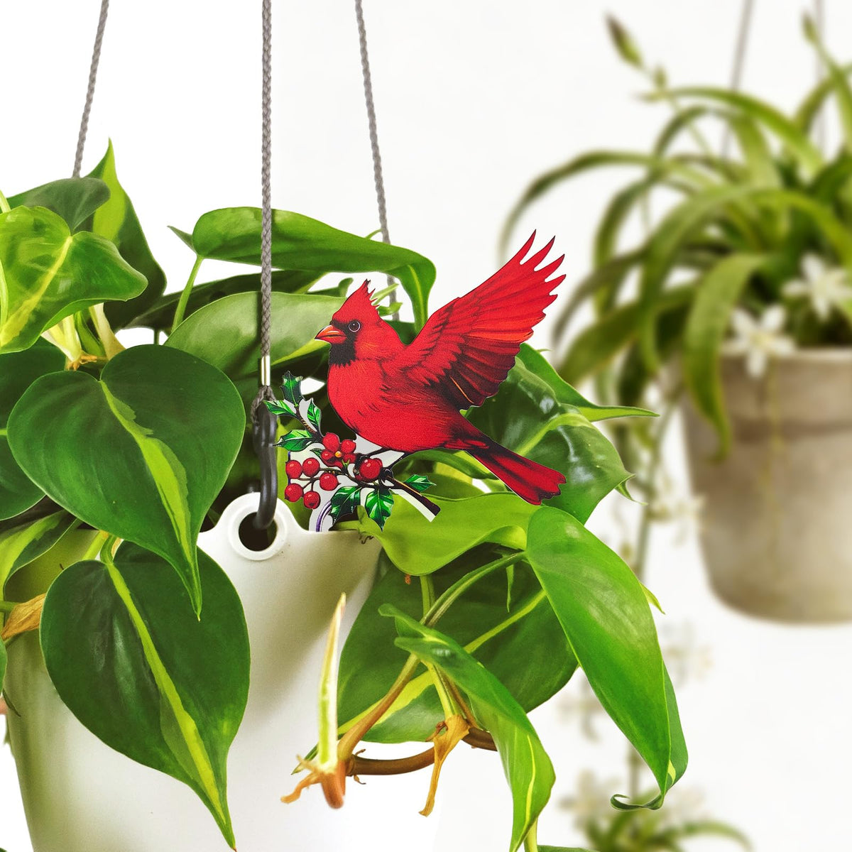 SOMNINOX Cardinal bird gift for women ideal for plant lovers