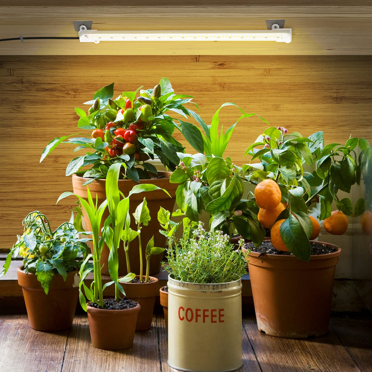 Four dimming levels let you tailor brightness to plant stage.
