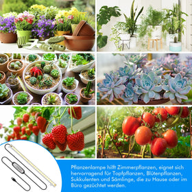Full-spectrum light aids leafy greens, herbs, and flowering plants indoors.