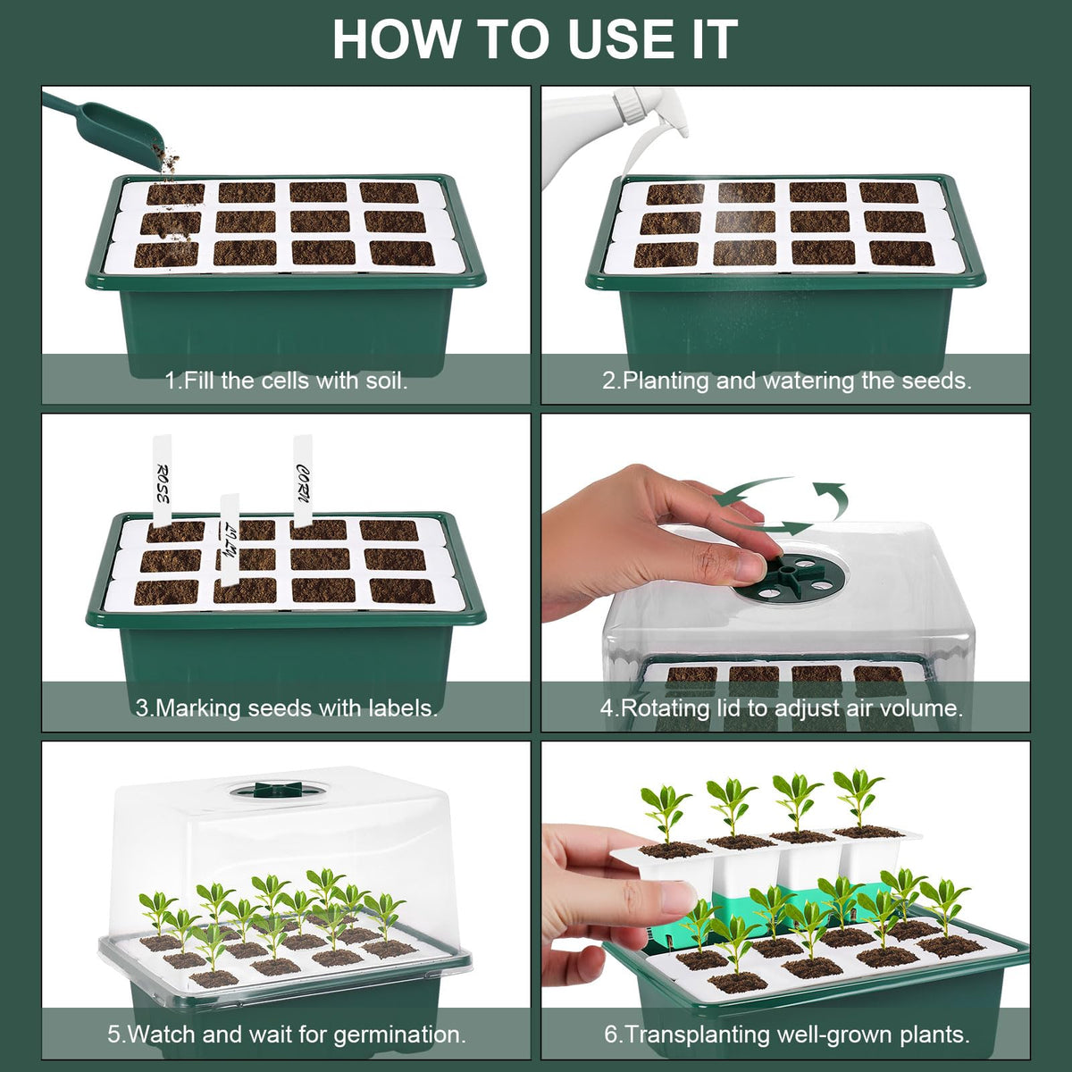 Sondiko hydroponic-ready base supports light water-based seedling care.